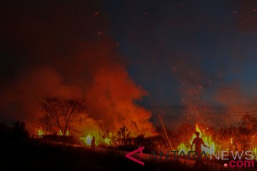 Hutan Gunung Sumbing Temanggung terbakar