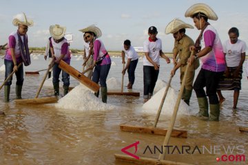 Menteri BUMN Panen Garam Bipolo