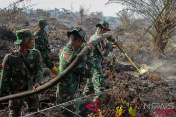 Belasan hektare lahan gambut di pesisir Riau terbakar