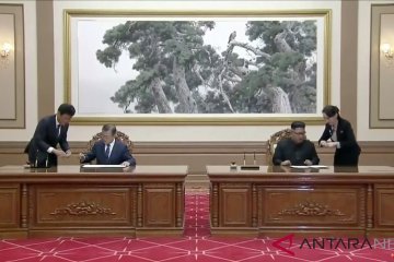 Kerja Sama Korea Selatan dan Korea Utara