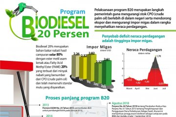 Program Biodiesel 20 persen