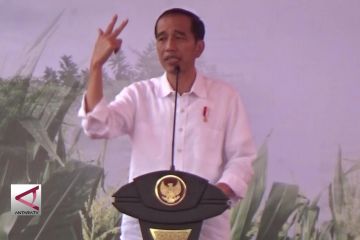 Presiden Sebut Persatuan Adalah Aset Terbesar Bangsa