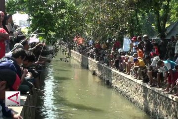 Ribuan warga Yogyakarta pancing ikan Lele di selokan Mataram