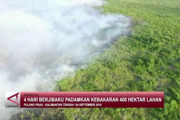 4 hari berjibaku padamkan kebakaran 400 Hektar lahan