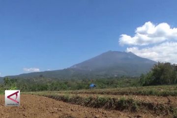 Kebakaran di Gunung Lawu berhasil dipadamkan