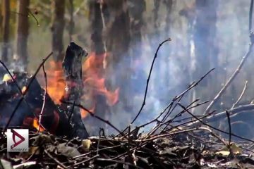 Lahan & Hutan di Bantul kini rawan terbakar