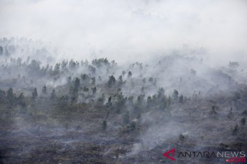 364,8 hektare lahan terbakar di Banjar