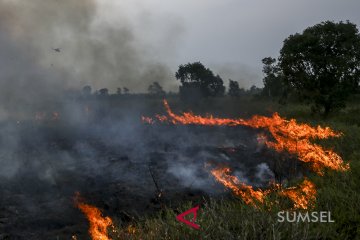 Lahan Di Rambutan Terbakar