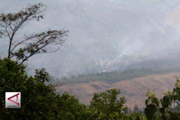 Kebakaran di lereng Gunung Ciremai diperkirakan 50 ha
