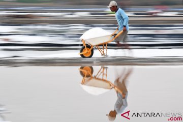 Menteri Susi ajak masyarakat beli garam lokal