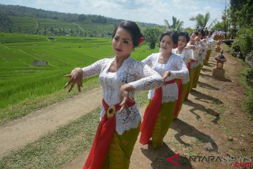 Festival Jatiluwih Bali 2018