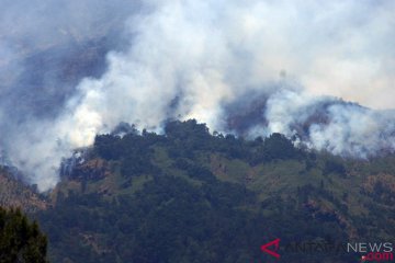 Kebakaran hutan di gunung Sumbing meluas