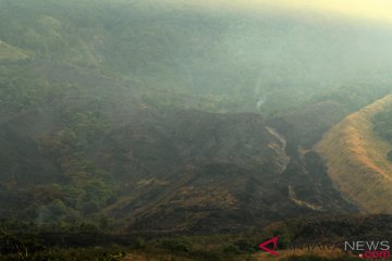 144 hektare kawasan TN Gunung Ciremai hangus terbakar