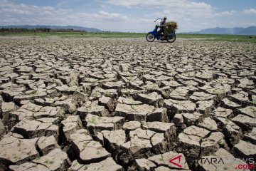 Cirebon masih berpotensi kekeringan ekstrem