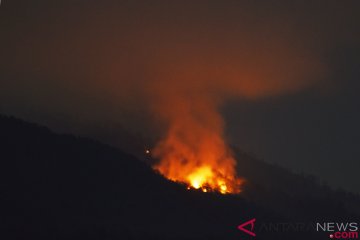 Api Gunung Lawu berhasil dipadamkan