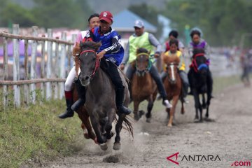 Pacu Kuda Tradisional Gayo