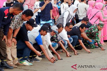 Pelepasliaran Anak Penyu Hijau