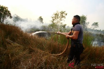 Kebakaran Lahan Gambut di Kalimantan Selatan