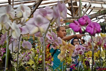 Peningkatan Ekspor Florikultura