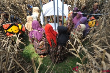 Ritual "Maarak Jari-Jari" maknai pengumpulan jasad cucu nabi