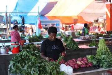 Papua Muda Inspiratif gandeng pedagang sayur rambah pasar digital