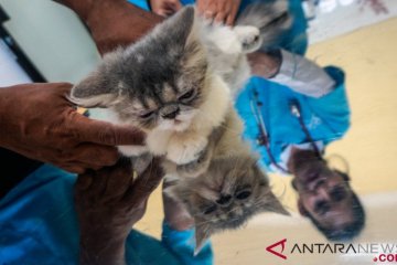 Vaksin Rabies Gratis