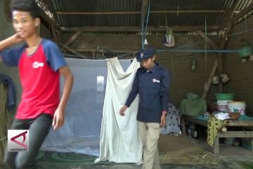 Malaria meningkat di Lombok, PMI sebar ribuan kelambu