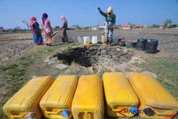 Ambil Air Bersih di Sumur Tengah Sawah