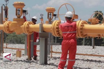 PGN sebut harga Gas Bumi Batam pasti naik