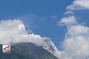 Gunung Gamalama semburkan abu vulkanis