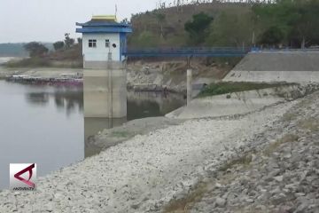 Kemarau Panjang, petani di Waduk Sangiran gagal Panen