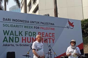 Maliki: Indonesia di DK PBB juga wakili Palestina