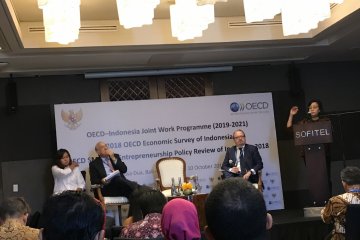 OECD rekomendasikan 10 kebijakan pengembangan UKM di Indonesia