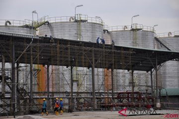 Hadapi tekanan global, Bappenas dorong industri sawit lakukan hilirisasi