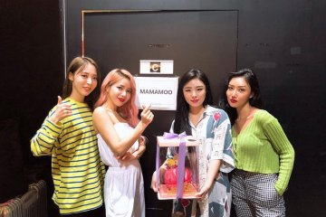 Hari ini acara jumpa penggemar MAMAMOO hingga acara fesyen