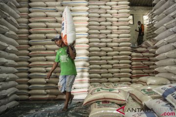 Hebat, produksi beras di Lebak surplus 210.870 ton