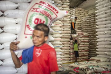 Satgas Pangan mengawasi beras hingga tingkat bawah