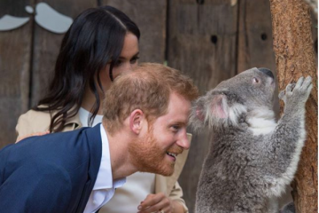 Harry dan Meghan dapat hadiah untuk bayi dan bertemu koala di Australia