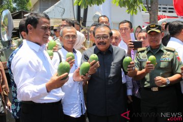 Mentan lepas ekspor tiga komoditas hortikultura