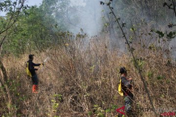 Kebakaran Hutan Gunung Ciremai