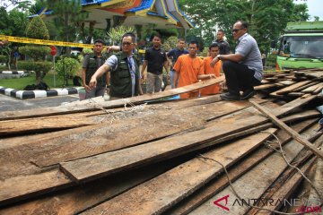 Pengungkapan Kasus Pembalakan Liar di Riau