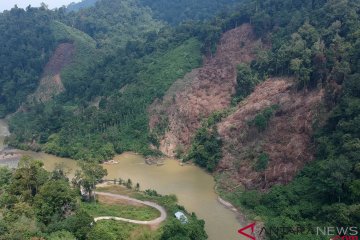 Aksi perambahan hutan sebabkan kerusakan TNKS