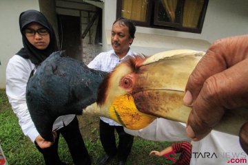 Perawatan Satwa Serahan Warga