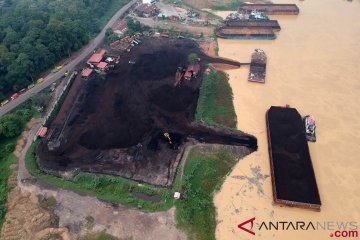 Penimbunan Batu Bara Di Tepi Sungai Batanghari