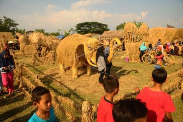 Festival Jerami