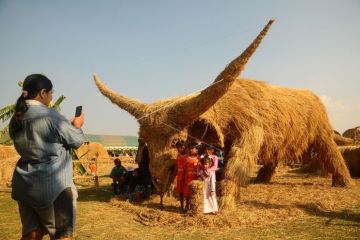 Festival Jerami