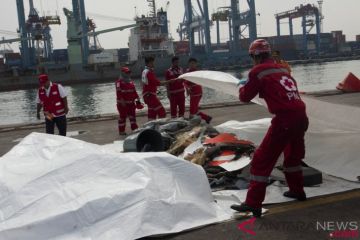 Identifikasi Puing Lion Air JT-610