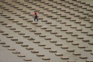 Bendungan Colo ditutup selama satu bulan