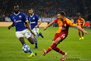 Liga Champion - Schalke 04 vs Galatasaray