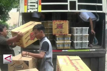 BKP Cilegon sita ribuan burung tanpa dokumen